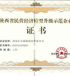 陜西省民營經濟轉型升級示范企業(yè)證書